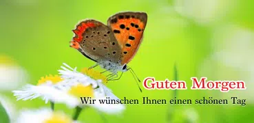 Guten Morgen 7 Tage Wish