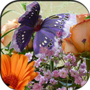 Butterfly & Flowers Puzzle APK