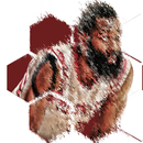 James Harden Clock Widget APK