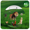 Animals Names APK
