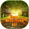 Good Afternoon GIF APK