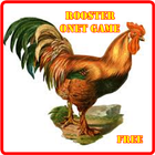 New Rooster Onet Classic Game icon