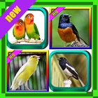 Top 1000 Kicau Burung icono