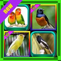 Top 1000 Kicau Burung plakat