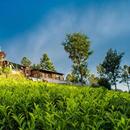 APK Leopard's Den Coonoor