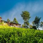 Leopard's Den Coonoor أيقونة