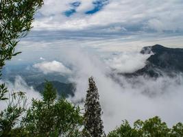 Leopard's Den Coonoor постер