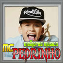 MC Pedrinho Musica Nova 2018 sem internet Funk Mp3 APK