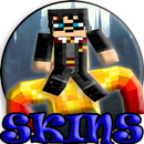 Skins Harry Potter and  Order of the Phoenix MCPE APK