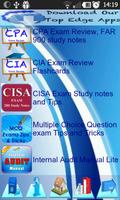CISA IT & IS Governance EXAM screenshot 1