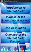 Internal Audit P&P Manual Demo الملصق