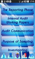 Internal Audit P&P Manual Demo capture d'écran 1
