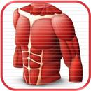 Anatomy Comprehensive Review APK