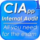 CIApp I. Auditor Course Review APK
