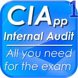 CIApp I. Auditor Course Review icône