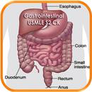 Gastrointestinal USMLE S2CK QA APK