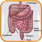Gastrointestinal USMLE S2CK QA icône