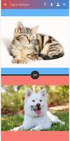 Top or Bottom 截圖 3