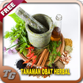 Tanaman Obat Herbal Keluarga