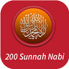 200 Sunnah Nabi icône