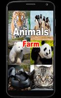 Wild Animals Videos پوسٹر