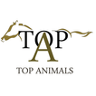 Top Animals