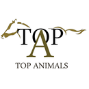 Top Animals APK