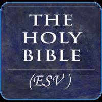 Holy Bible(ESV) poster