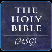 Holy Bible MSG Cartaz