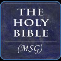 Holy Bible MSG plakat