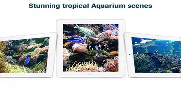 3D Aquarium Live Wallpaper Pro