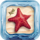 3D Aquarium Live Wallpaper Pro иконка