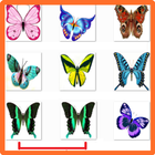 Top Butterflies Matching Games icône