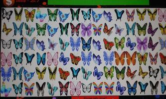 Top Butterflies Matching Games capture d'écran 2