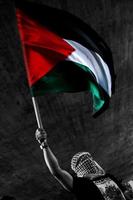 Palestine Wallpapers photos HD capture d'écran 2