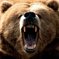 Cute Bears