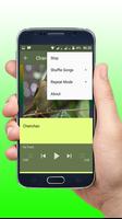 Canto De Chanchão Preto Offline ảnh chụp màn hình 3