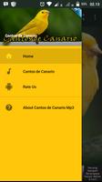 Cantos de Canario Mp3 ポスター
