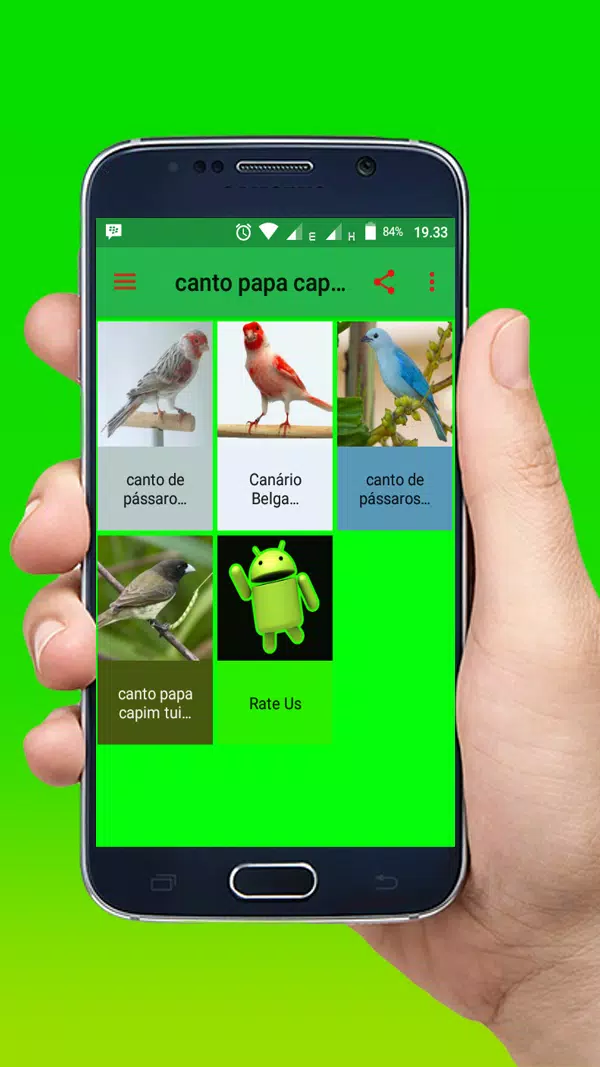 Canto Fêmea de Papa Capim APK 19.0 for Android – Download Canto