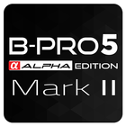 BRICA BPRO5 AE2 icon
