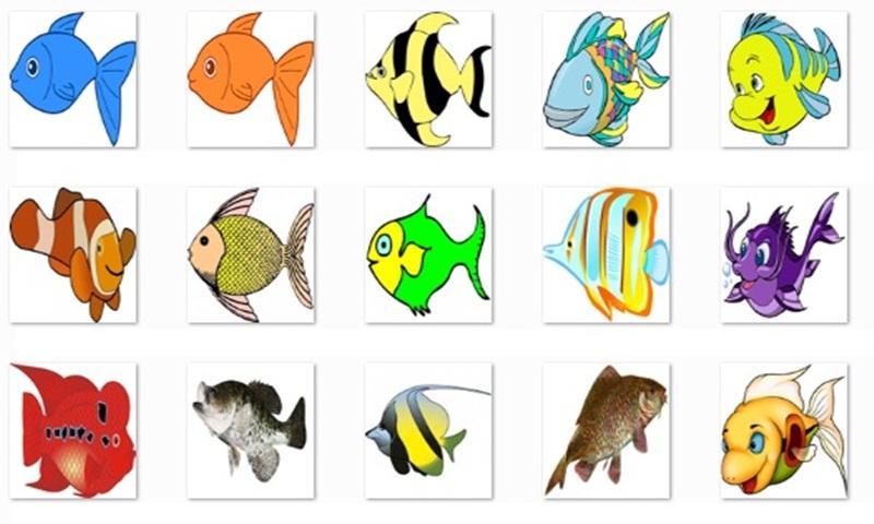 Рыбки 10 часов. Разноцветные рыбки для печати. Рыбки цветные для дошкольников. Аквариумные рыбки для дошкольников. Рыбки с примерами.