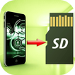 ”Files To SD Card Pro