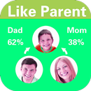 Dad Like Mom-APK