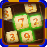 Sudoku Puzzle-icoon