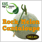 KMS Agro Rock Melon Cantaloupe ikona