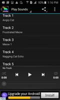 Cat Sounds Ringtones screenshot 1