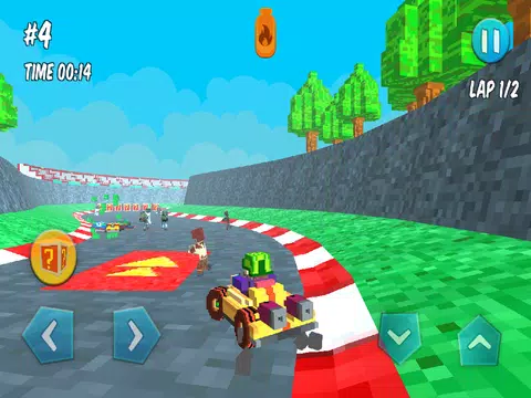 Screenshot 16 for Blocky Fast Fury