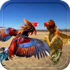 Farm Rooster Fight 3D Action ikon