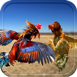 Farm Rooster Fight 3D Action