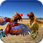 Farm Rooster Fight 3D Action آئیکن